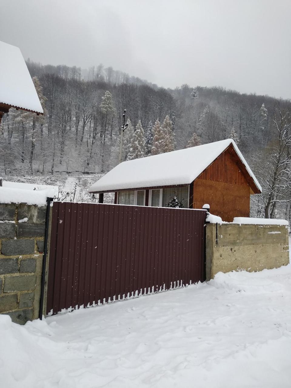 Apartmán Карпатські Ночі Чан На Території Jaremče Exteriér fotografie